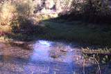 Select an image to enlarge