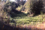 Select an image to enlarge