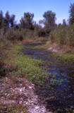 Select an image to enlarge