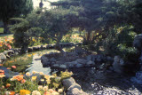 Select an image to enlarge