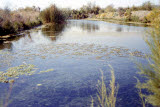 Select an image to enlarge