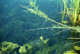 Select an image to enlarge