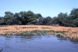 Select an image to enlarge