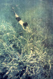 Select an image to enlarge