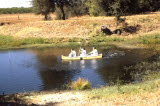 Select an image to enlarge