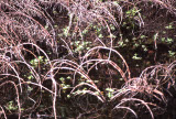 Select an image to enlarge