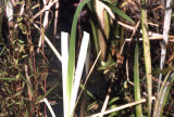 Select an image to enlarge
