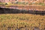 Select an image to enlarge