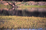 Select an image to enlarge