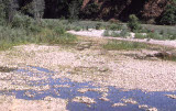 Select an image to enlarge