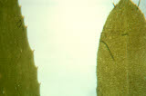 Select an image to enlarge