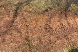 Select an image to enlarge