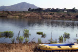 Select an image to enlarge