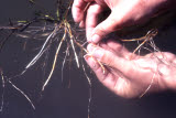 Select an image to enlarge