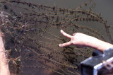 Select an image to enlarge