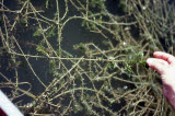 Select an image to enlarge