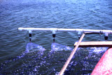 Select an image to enlarge