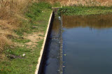 Select an image to enlarge