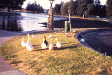 Select an image to enlarge