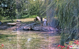 Select an image to enlarge