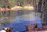 Select an image to enlarge