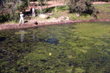 Select an image to enlarge