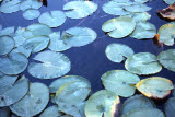 Select an image to enlarge