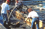 Select an image to enlarge
