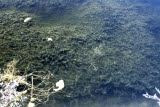 Select an image to enlarge