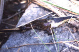 Select an image to enlarge