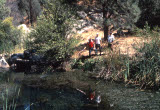 Select an image to enlarge
