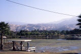 Select an image to enlarge