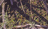 Select an image to enlarge