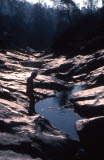 Select an image to enlarge