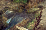 Select an image to enlarge