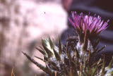 Select an image to enlarge