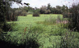 Select an image to enlarge