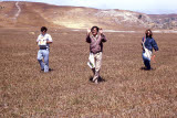 Select an image to enlarge