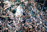 Select an image to enlarge