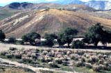 Select an image to enlarge