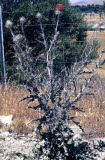 Select an image to enlarge