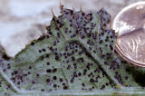 Select an image to enlarge