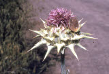 Select an image to enlarge
