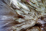 Select an image to enlarge