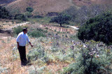 Select an image to enlarge