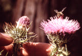 Select an image to enlarge
