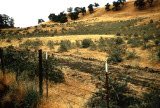 Select an image to enlarge