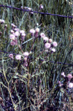 Select an image to enlarge