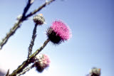 Select an image to enlarge