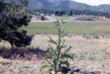 Select an image to enlarge